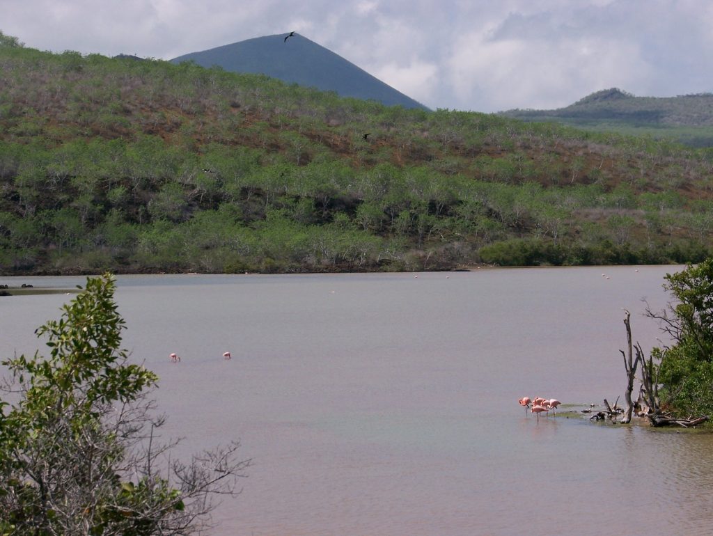 budget travel galapagos