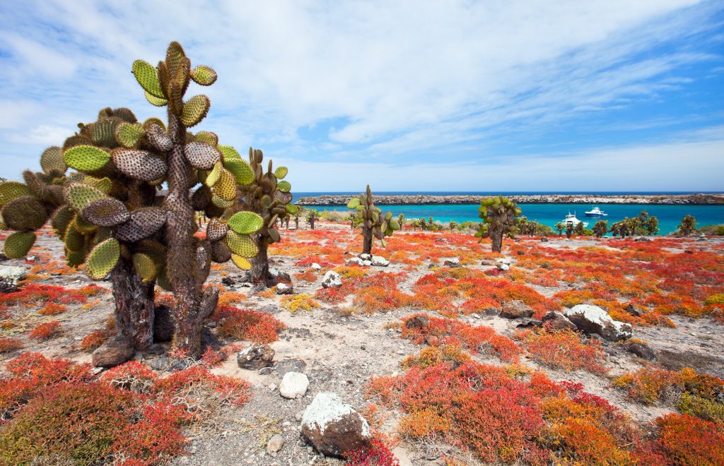galapagos islands can you visit