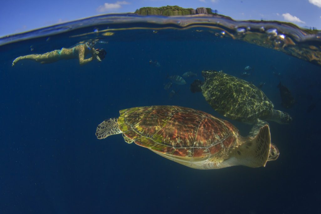 budget travel galapagos