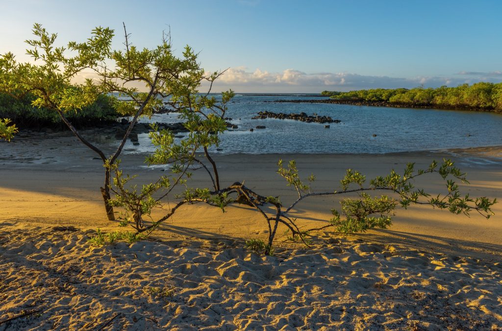 Playa de los Alemanes (German Beach)