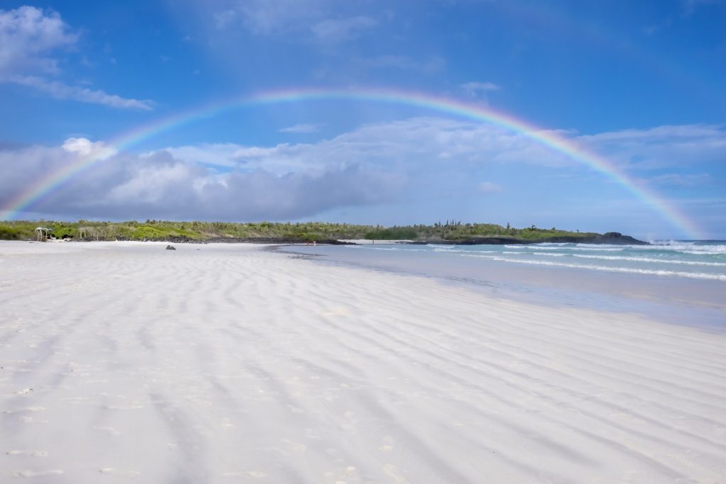 Tortuga Bay, Santa Cruz, Galapagos