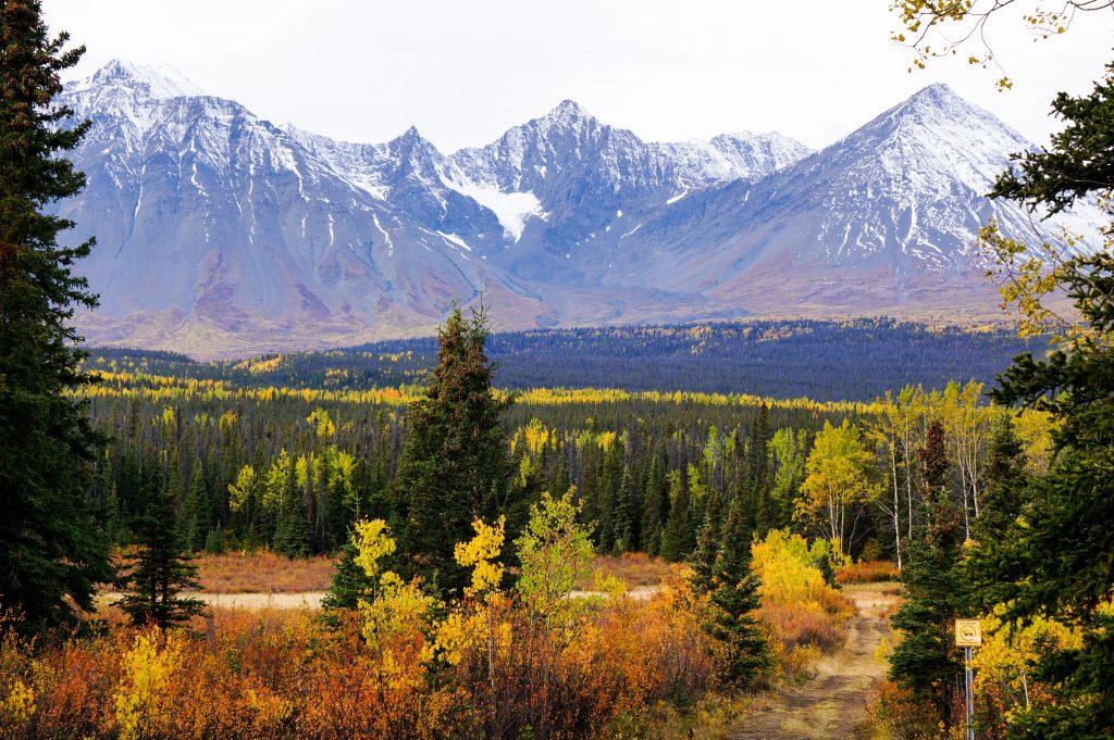 Kluane National Park