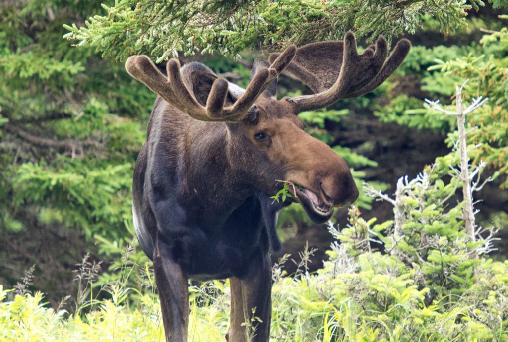 12 Of Canada's Most Breathtaking National Parks - Thrifty Nomads