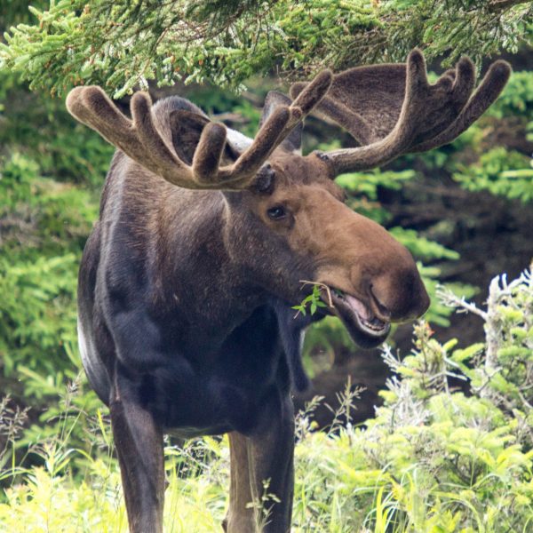 12 of Canada's Most Breathtaking National Parks - Thrifty Nomads