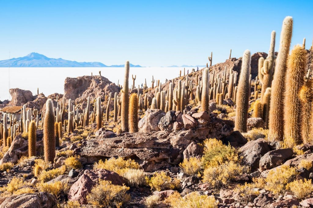 best time to visit bolivia salt flats