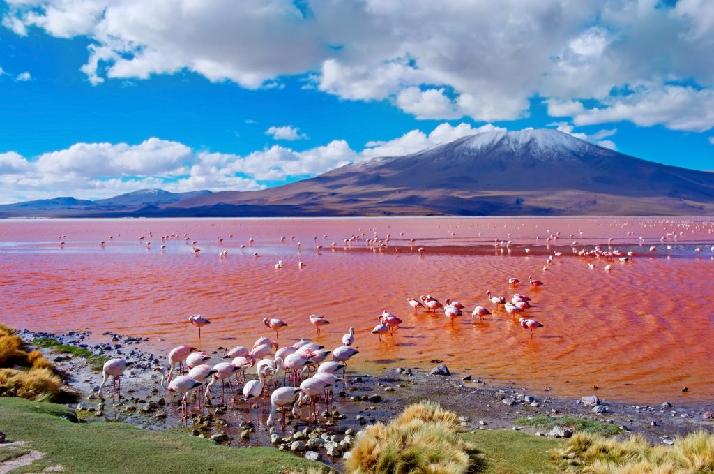 uyuni salt flats bolivia tour