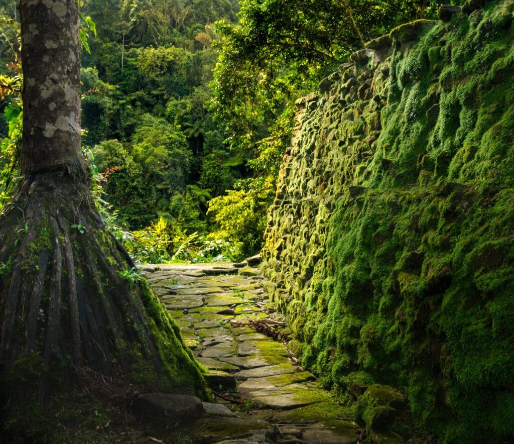 Ciudad Perdida Lost City ruins