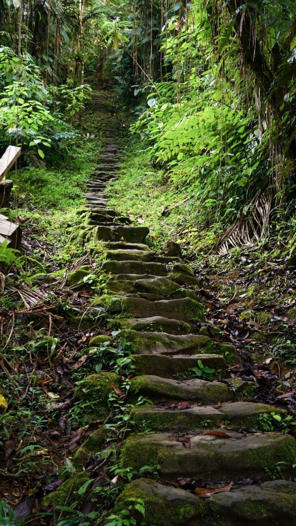 Ciudad Perdida - The Lost City, Colombia