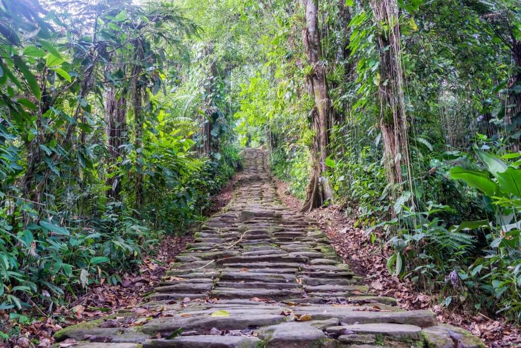 tour a ciudad perdida santa marta