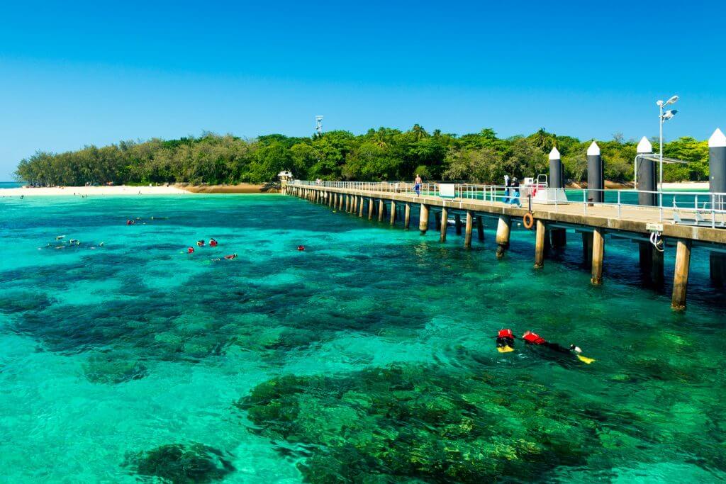 best great barrier reef tour reddit