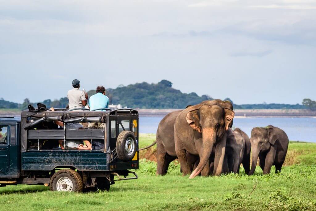 travel guides australia sri lanka