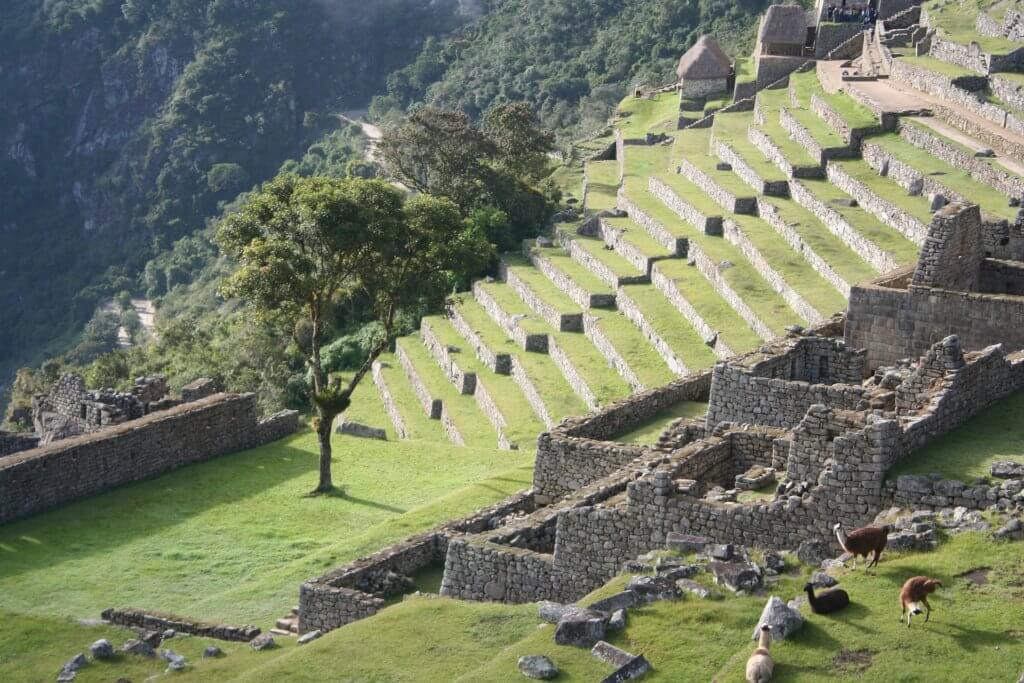 Machu Picchu